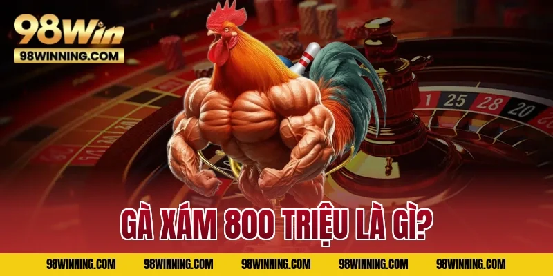 Gà xám 800 triệu là gì?