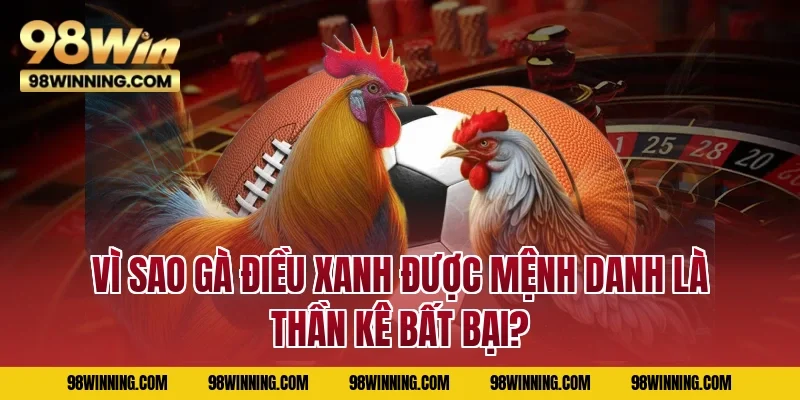 Vì sao gà điều xanh được mệnh danh là thần kê bất bại?